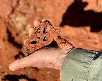 Indigenous people’s knowledge, science research and an Academy grant help unlock the mystery of ‘fairy circles’
